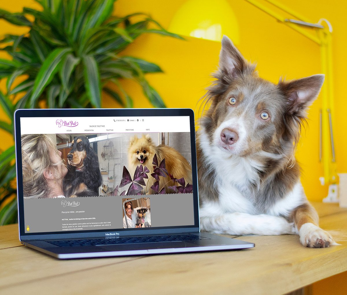 Torop_Net's tweet image. Les sites Torop.net s'adressent à tout le monde... même aux plus poilus ! 🐩🐈
Amis des animaux, découvrez le site de Patt'Poil , institut de toilettage à Saint-Germain : pattpoil.fr
#hautesaone #toilettage #numerique