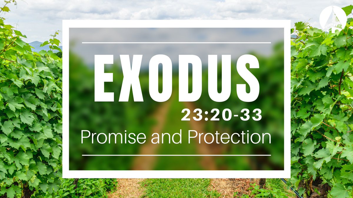 fpcgpt's tweet image. We will continue our study of the Book of Exodus this Sunday morning, with a review of Chapter 23.