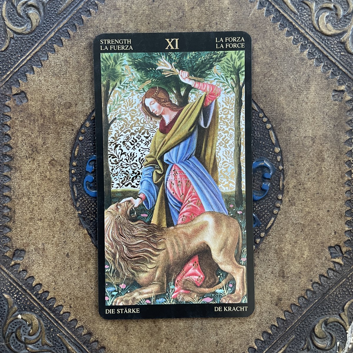 alquimia_azul's tweet photo. La Fuerza del tarot nos recuerda que somos dueños de nuestro mundo interior. El dominio sobre lo que sentimos y pensamos es la clave para alcanzar el equilibrio y la armonía en nuestras vidas. #tarot #Fuerza #DominioInterior https://t.co/5s41w50QIU