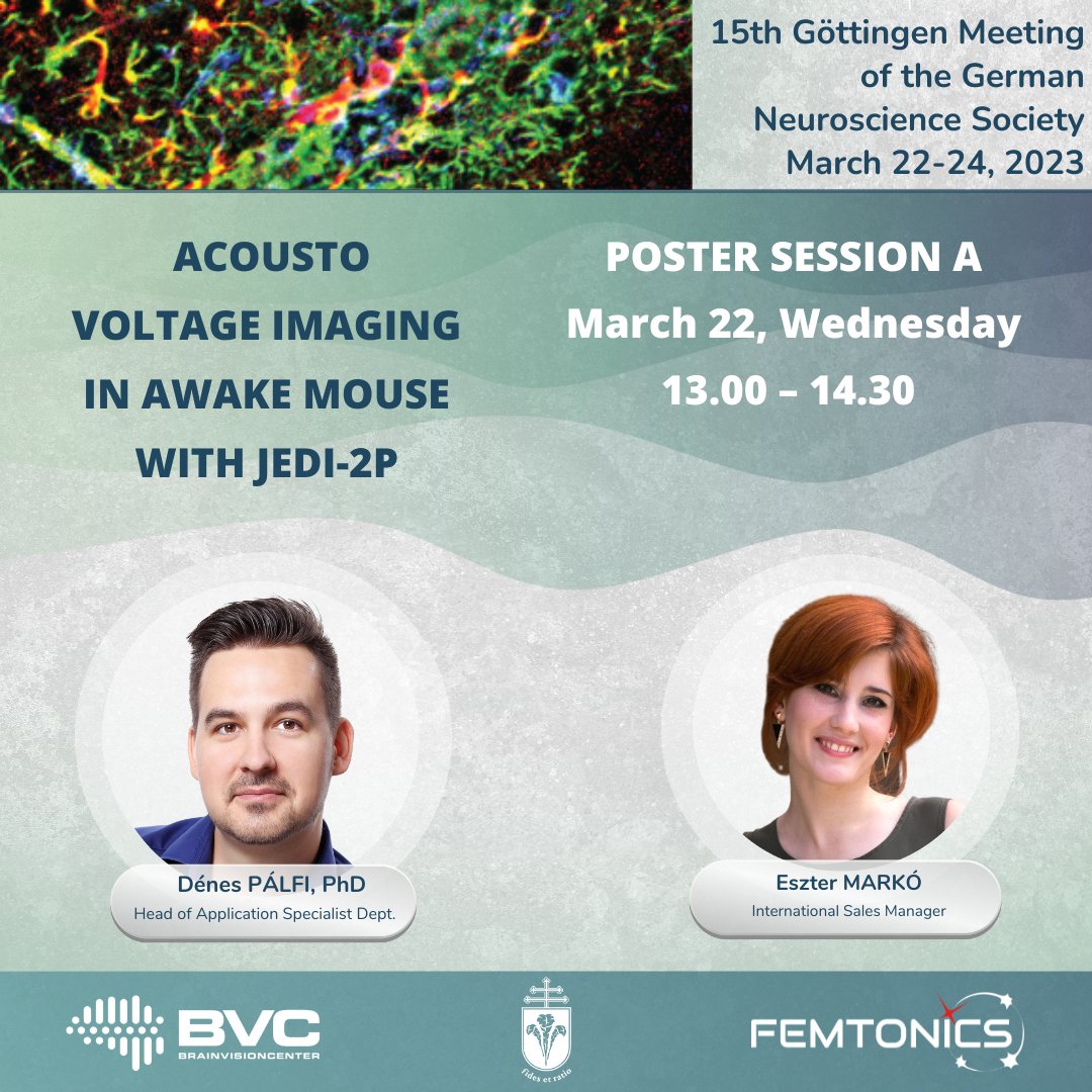 ☝️ Interested in learning about the latest breakthroughs in functional 2P imaging?🔬
🎙️Join us for the poster session where Dénes Pálfi will talk about cutting-edge research on direct imaging of neuronal activity using JEDI-2P voltage indicators.
#voltageimaging #neuroscience