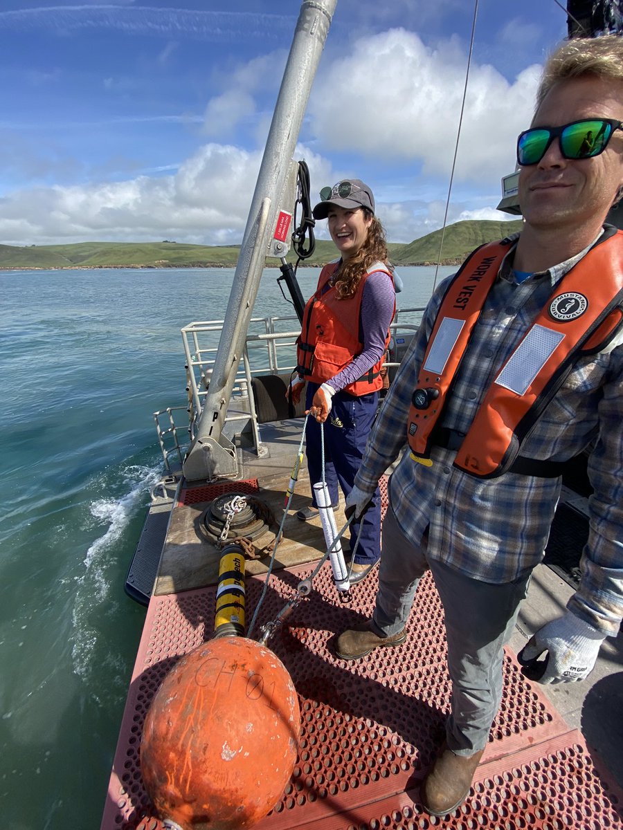 Lindsey Peavey Reeves tweet media