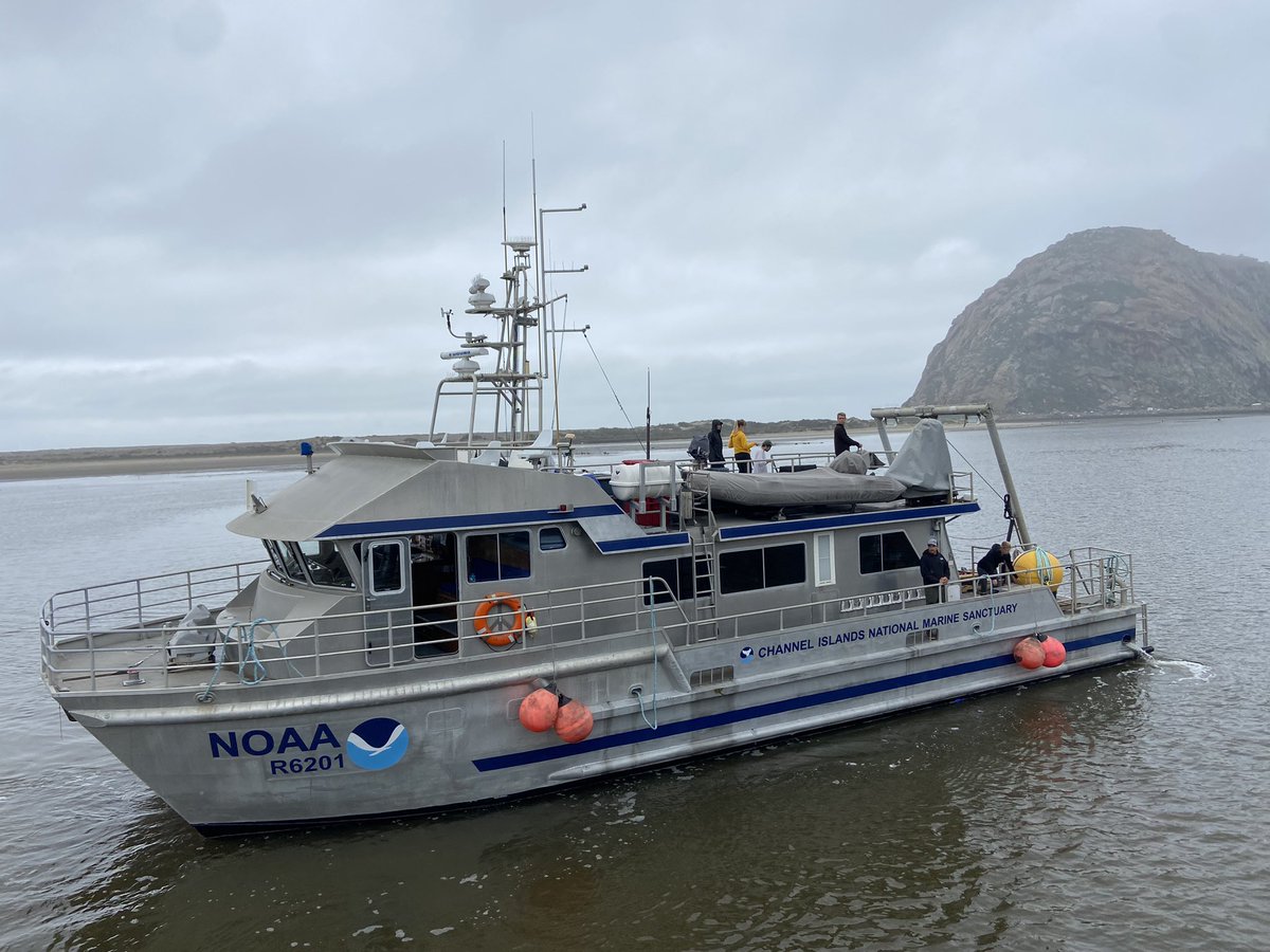 Lindsey Peavey Reeves tweet media