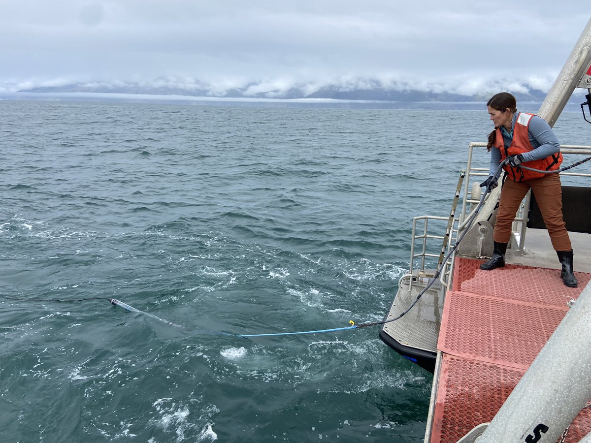 Lindsey Peavey Reeves tweet media