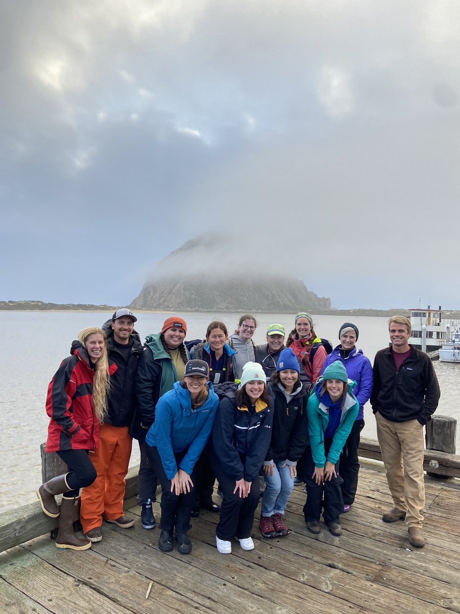 Lindsey Peavey Reeves tweet media