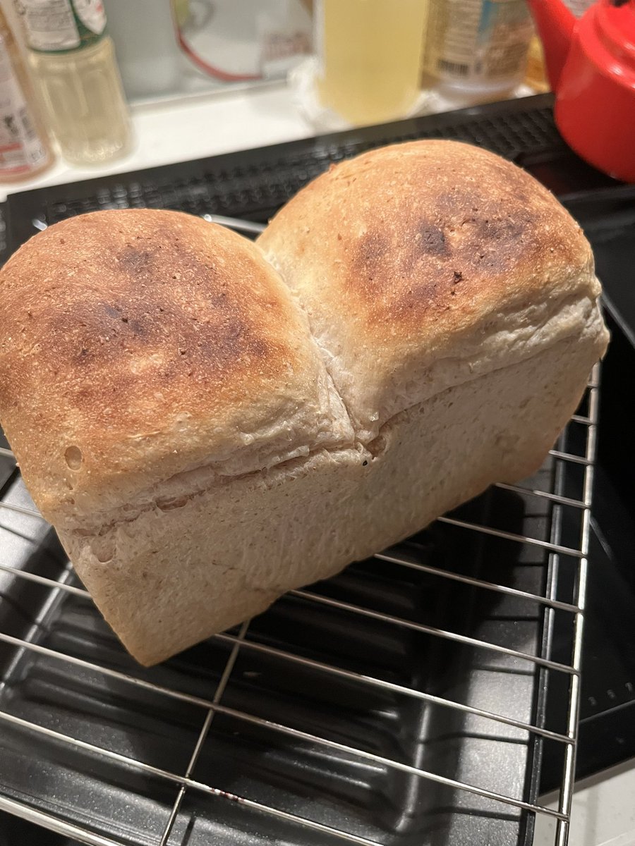zuizui39098951's tweet photo. 焼きたて〜🍞
#手作りパン
#酒種酵母
#pancoco https://t.co/u6Dd6YHPZn