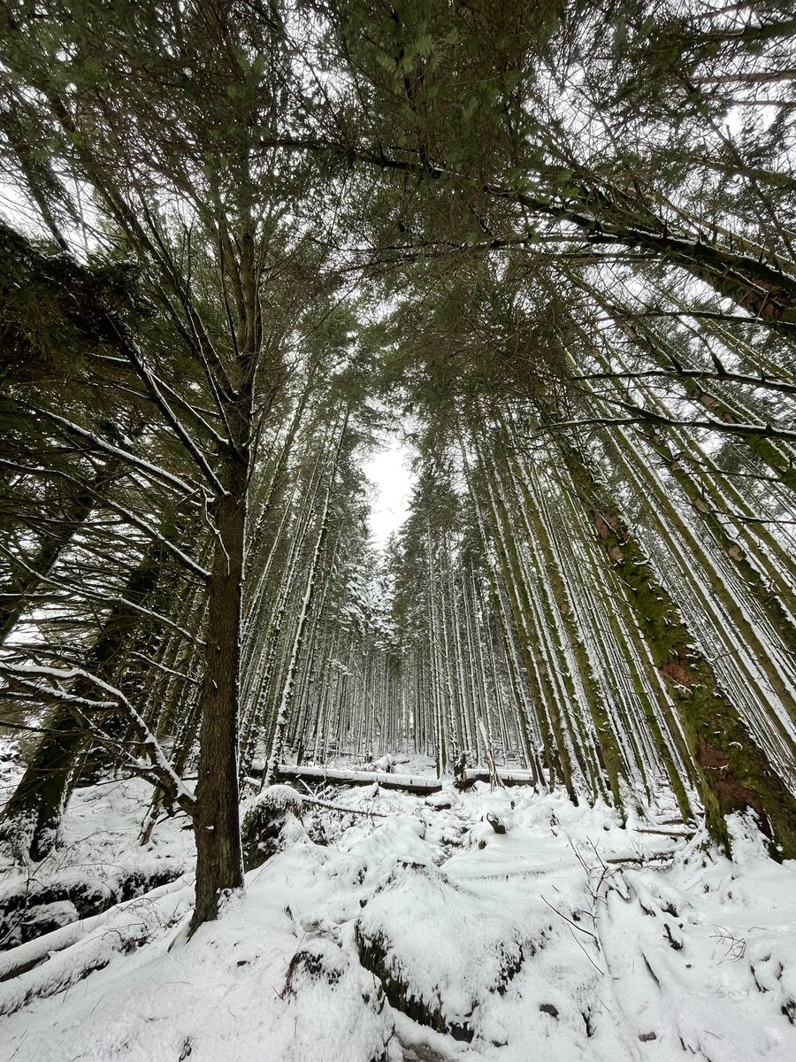 Môn Active tweet media