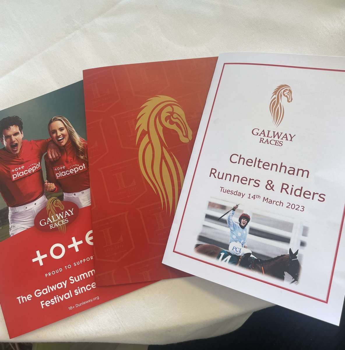 GalwayChamber's tweet photo. Thank you @Galway_Races for hosting us today. Very excited to hear all the plans for the Summer Festival. @LydonHouse never disappoints with the wonderful food! #GalwayRaces https://t.co/v5TegLKgdP