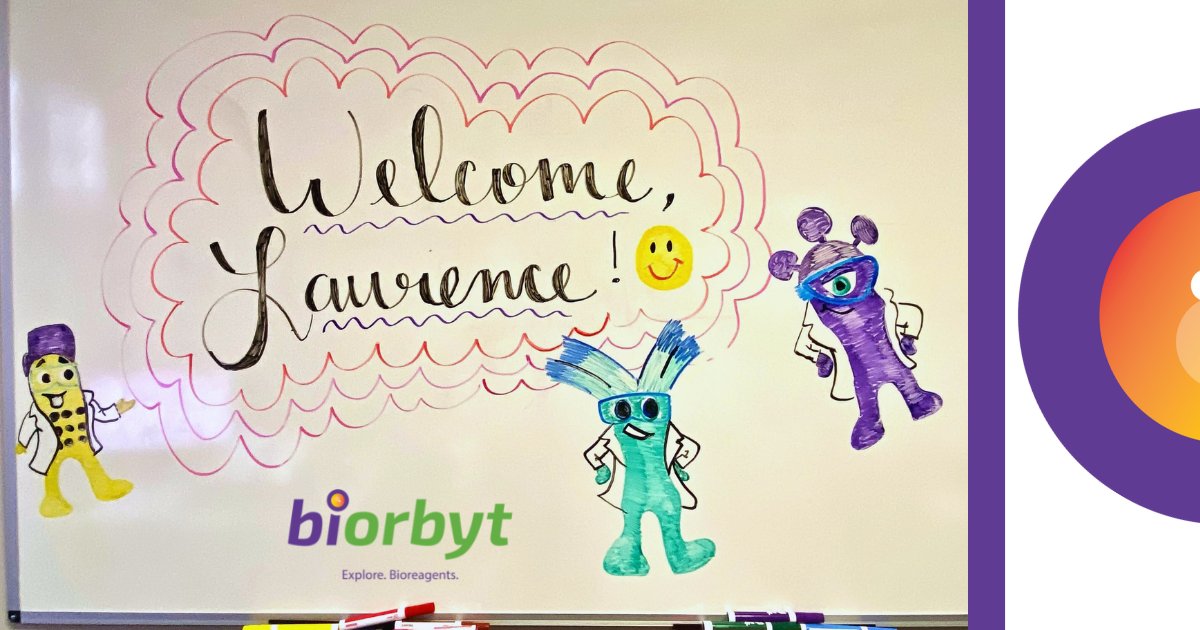 Biorbyt's tweet photo. Training has started in our new office in Durham, NC. The team welcomed Laurence with some friendly faces! 😁

#teamwork #operations #collaboration #durham #biotech https://t.co/huDQbogTPH