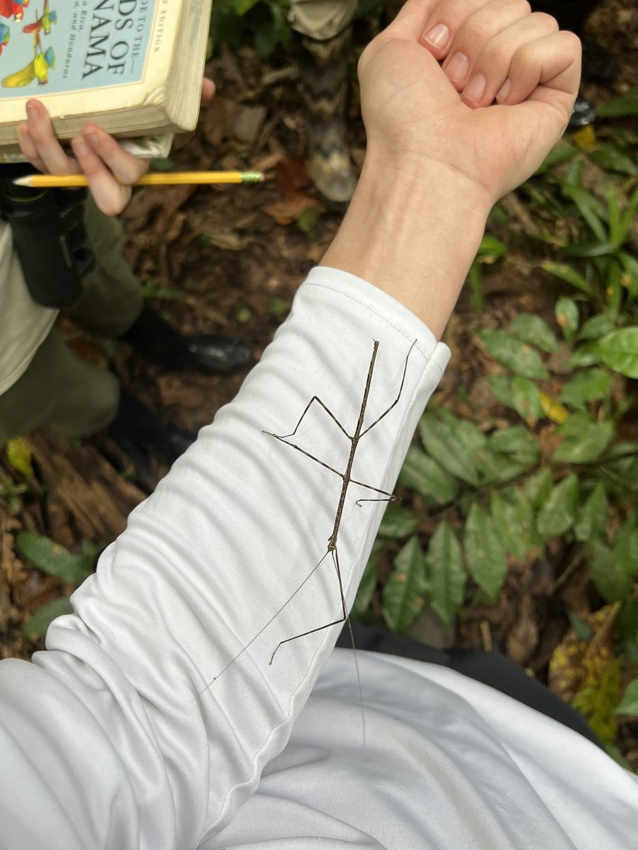Rem1Bio's tweet photo. Day two at the Institute for Tropical Ecology and Conservation(ITEC) with @ohio @OhioBioSciences @PBIO_OhioU students- some great views and lessons so far :) one thing I have learned is that I should have packed more Cheez-its https://t.co/xQWOBtPI0m