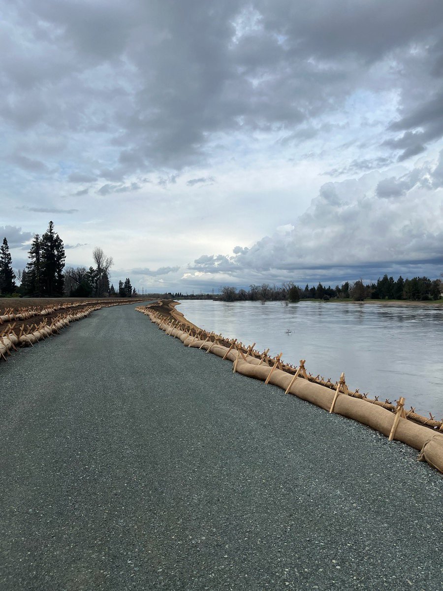 My siblings and I used to play in the woods that were paved over here along the American River. No more beautiful trees, gentle shade, soft soil, or life. It’s all gone. It’s too much for the soul to bear.