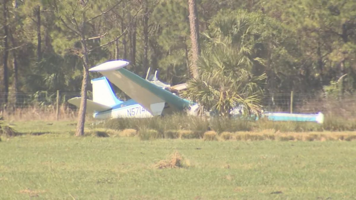 JasonKelly407's tweet image. SEE: Pilot hospitalized after crashing small plane into large pine tree in #Mims pasture at.wftv.com/3LnO49D #wftv