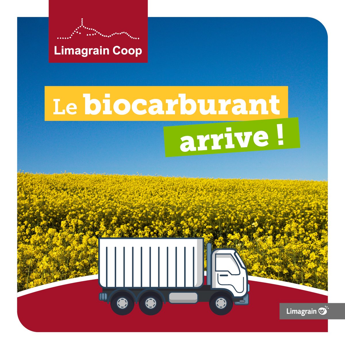 Limagrain's tweet photo. Limagrain Coop passe au vert !

Depuis la fin d’année 2022, le #biocarburant est arrivé chez Limagrain Coop, 70 % de la flotte de camions est passée du gasoil au B100 (gasoil vert) ! https://t.co/l5ze1YX6CV