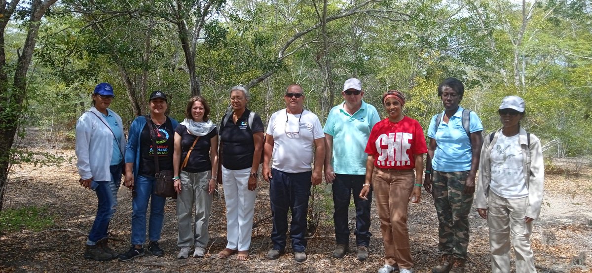 Misleydis V. Labañino, especialista de la UEB Flora y Fauna de Nuevitas, explica cómo han logrado rehabilitar el 80% de las 100 hectáreas planificadas en el manglar.