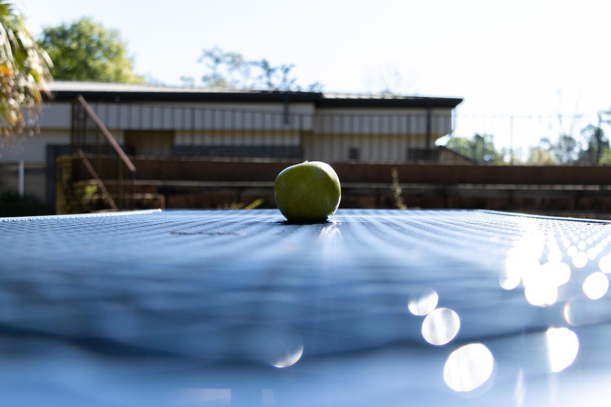 HunterKfptc's tweet photo. Just a Few Creative Photos of an... Apple #creative #photography #Canon #90d #floridapanhandle 
#closeup #shadow #lowkey #highkey https://t.co/g2jn5Qc3Ao