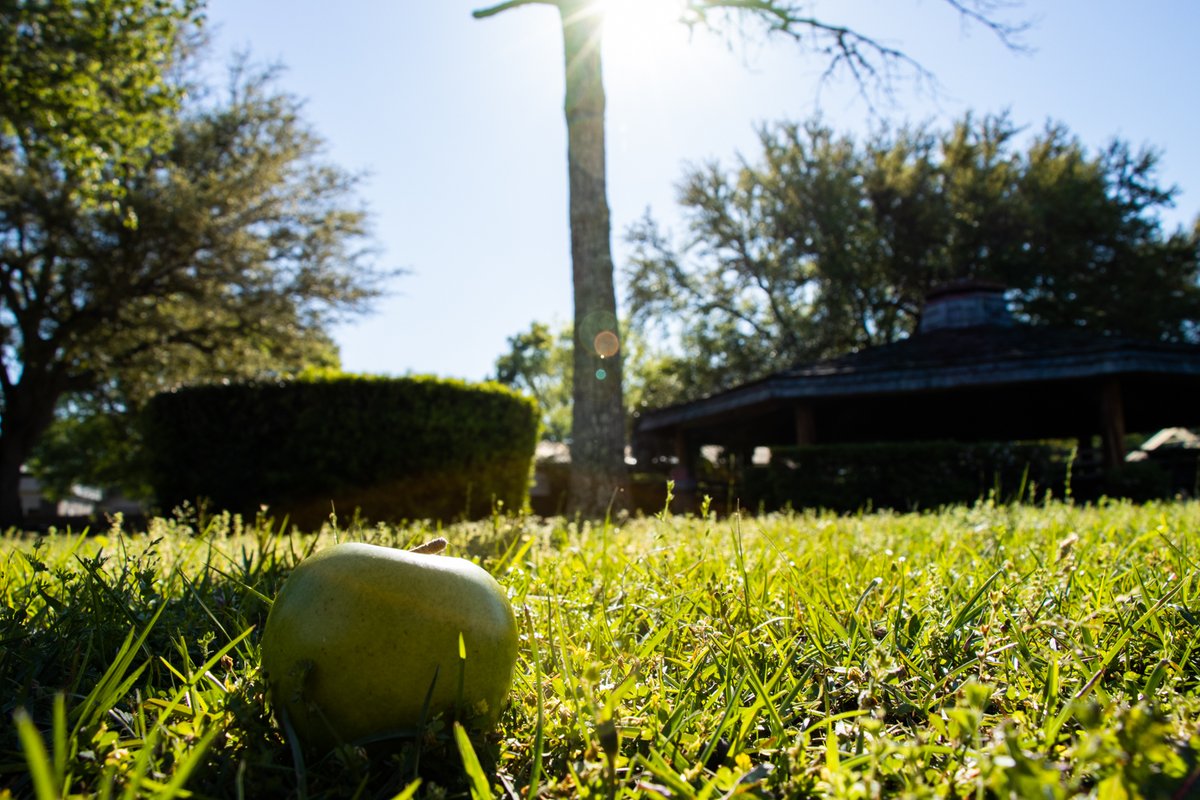 HunterKfptc's tweet photo. Just a Few Creative Photos of an... Apple #creative #photography #Canon #90d #floridapanhandle 
#closeup #shadow #lowkey #highkey https://t.co/g2jn5Qc3Ao