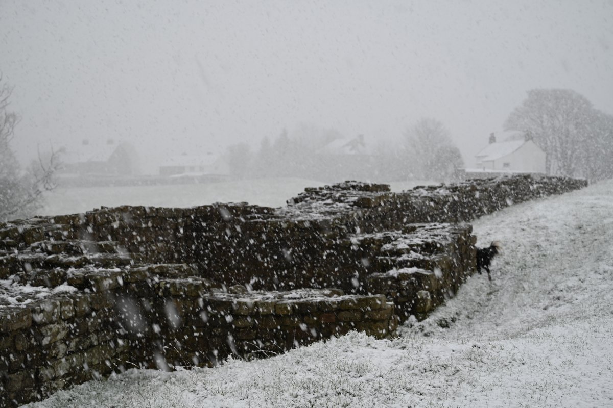 willowford's tweet photo. Hadrian's Wall Turret 48a at Willowford in the snow https://t.co/fMttQ5Zd3y