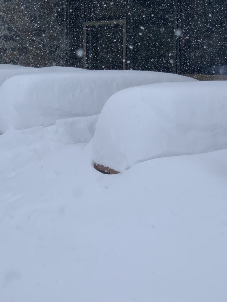 Sheaj93's tweet photo. @SCweather_wx picnic table deep today in the southern greens…. https://t.co/PoAo9Z3AM6