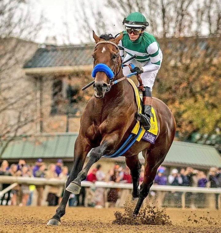 OnurBukey's tweet image. Doğum günün kutlu olsun ŞAMPİYON #flightline 🛫✈️