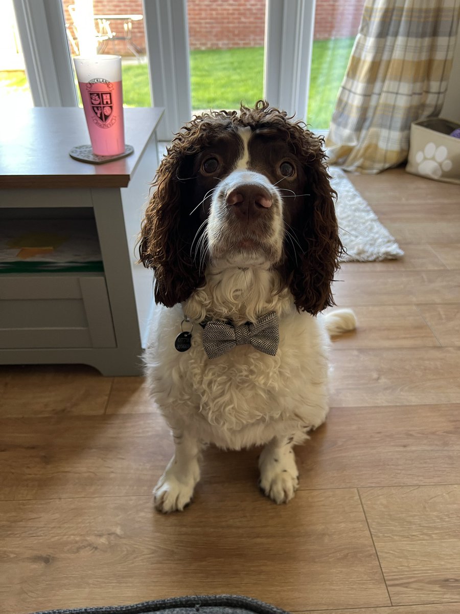 Always believe in your beliefs and values. Finally, he is back! #birthdayboy #mickey