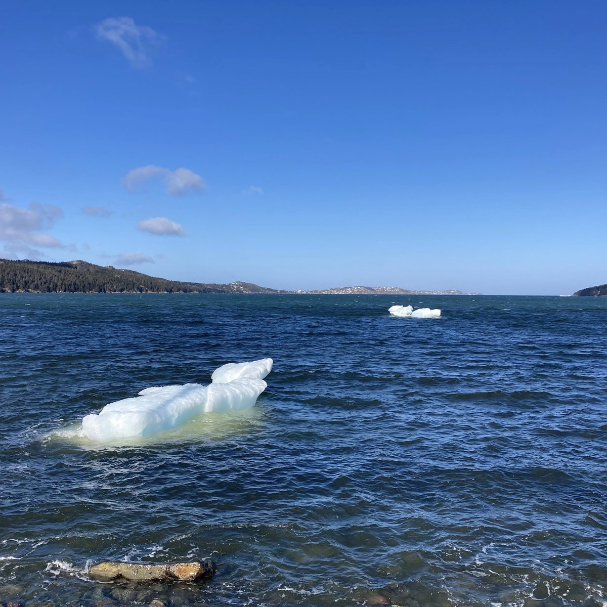 ‘Let me view that rugged shore, where the beach is all a-glisten…’ A rare almost-spring treat this week here in Clarke’s Beach! Some small pieces of iceberg that have floated in the bay, just outside the distillery!