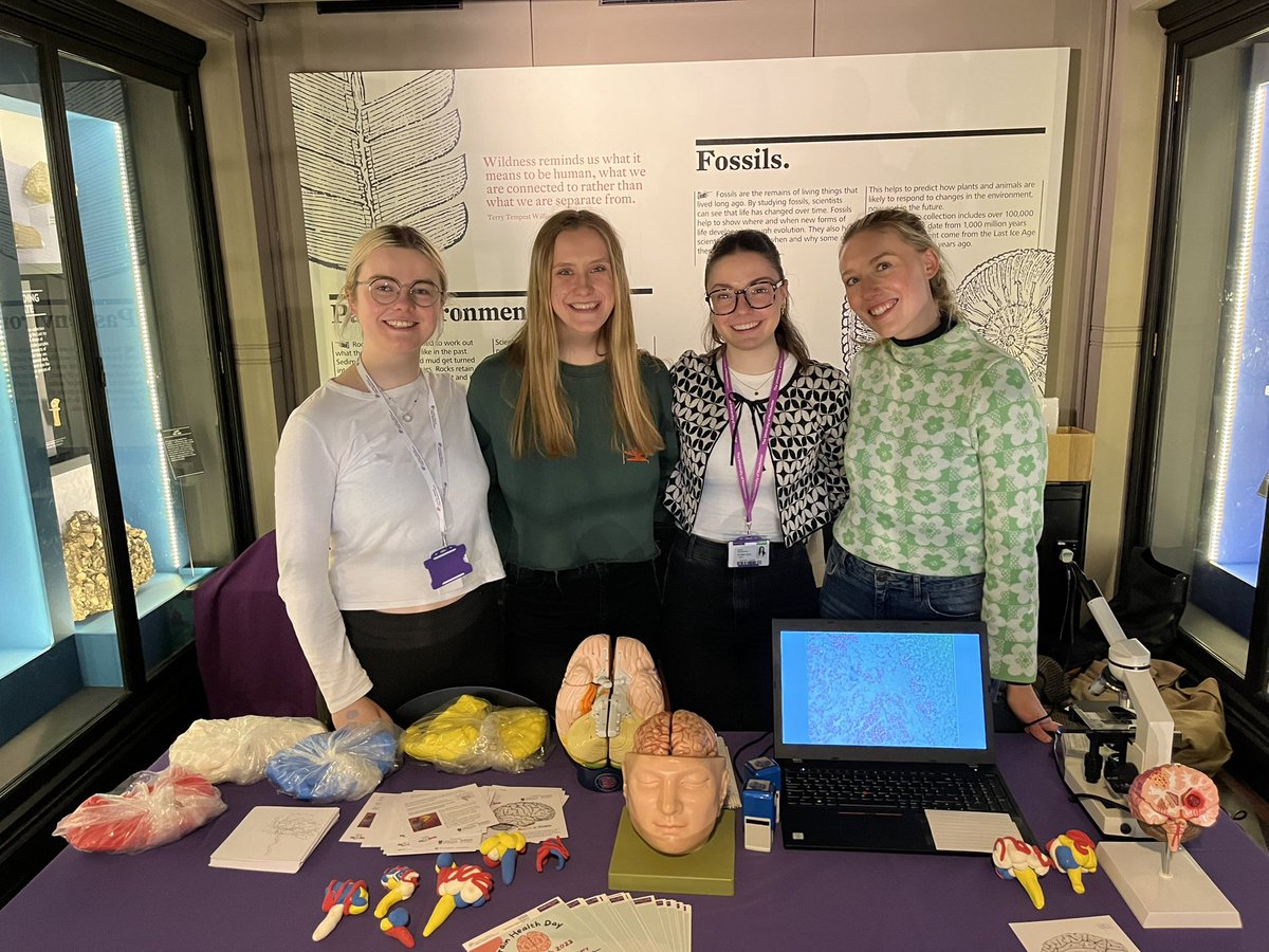 Had such a great day at @McrMuseum for @ScienceWeekUK showing students some key parts of the brain and it’s blood supply 🧠 Come along tomorrow if you want to build a brain! #BSW23