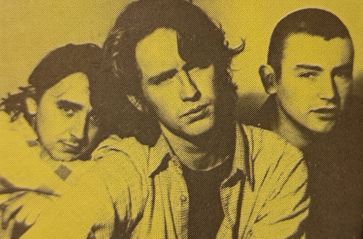 "The Shanks are like Gastr Del Sol with a Chieftains fixation" NME - some attic finds!