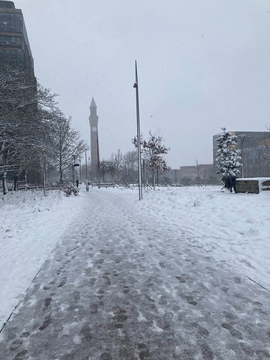 Dr Frankie Morgan tweet media