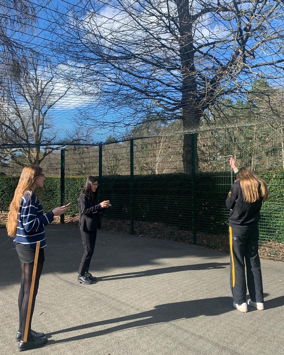 Wellington STE tweet media