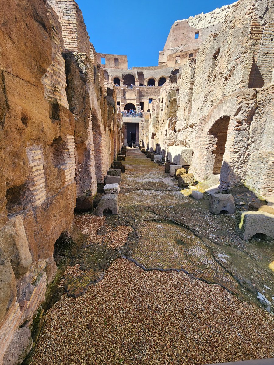 Brian Rector tweet media