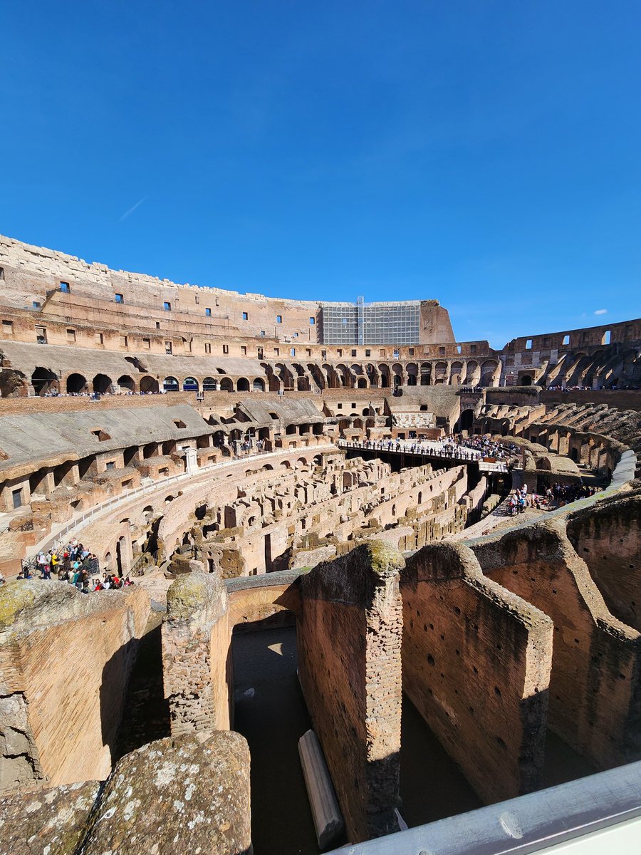 Brian Rector tweet media