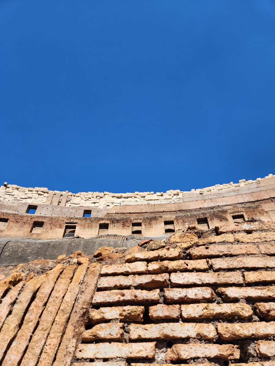 Brian Rector tweet media