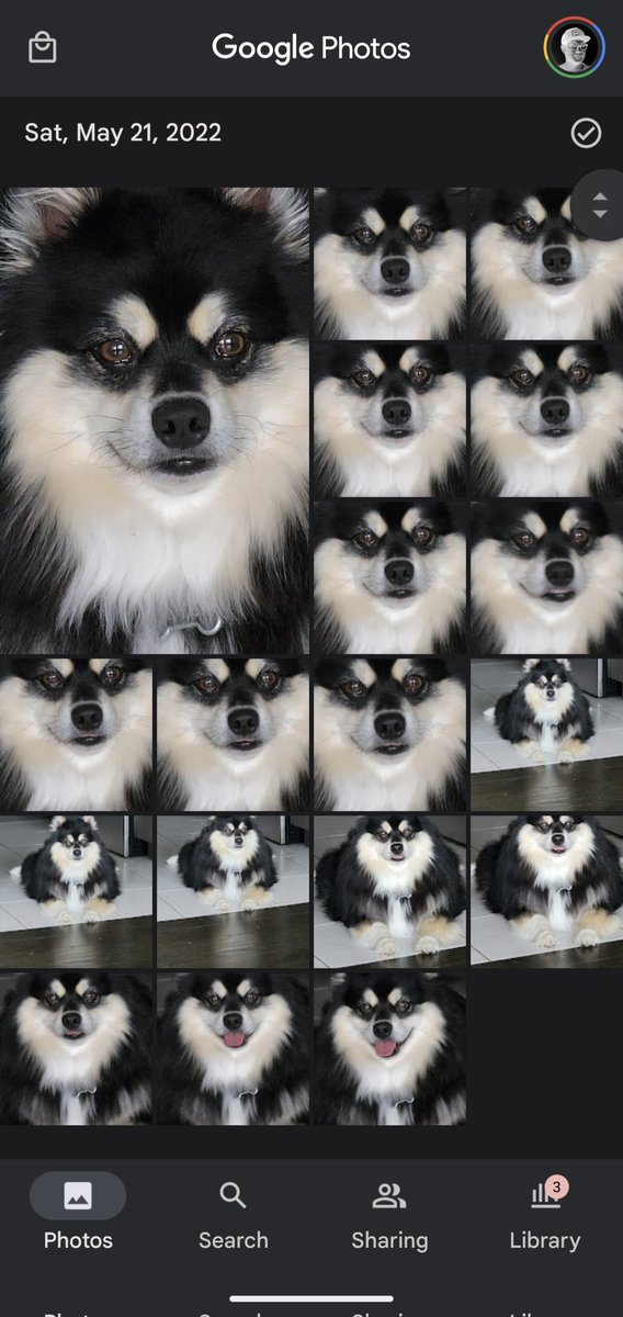 npllıʍnpllıʍ (@willduwilldu) on Twitter photo 