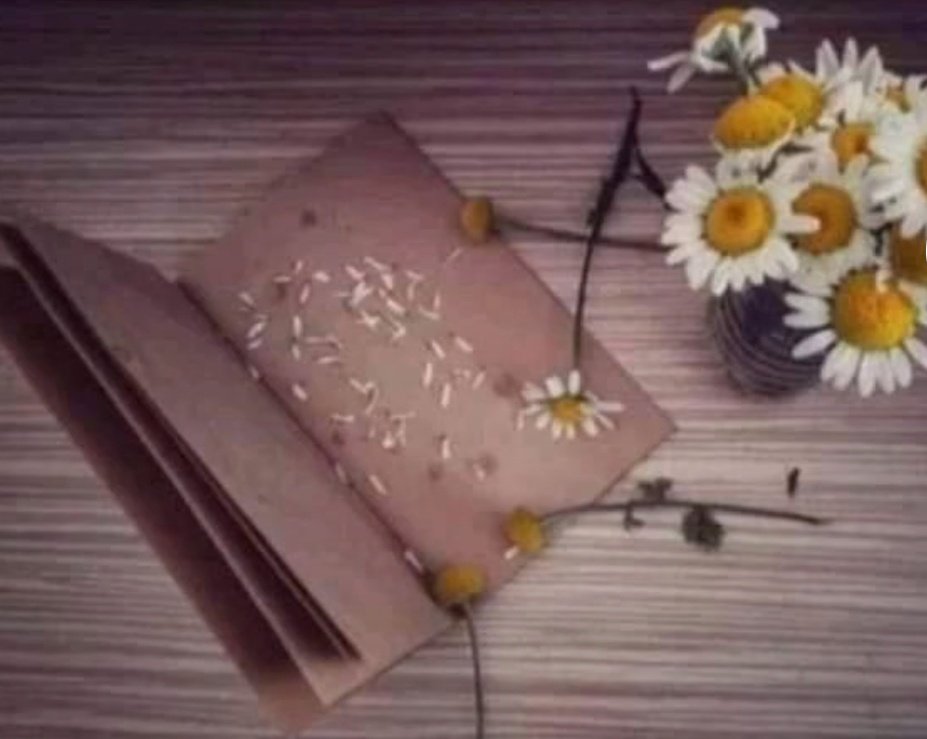 BURAKBERKAYGul1's tweet image. 🌼Ben hiç bir papatyanın🌼  yaprağına 🍂
         #Kıyamadım......
🌼Severse  yüreğim de 🌼
     Sevmesse  uzağımda  olur ..!
                   #Dedim....
    Huzura ersin akşamımız 

🍂🌿🍂