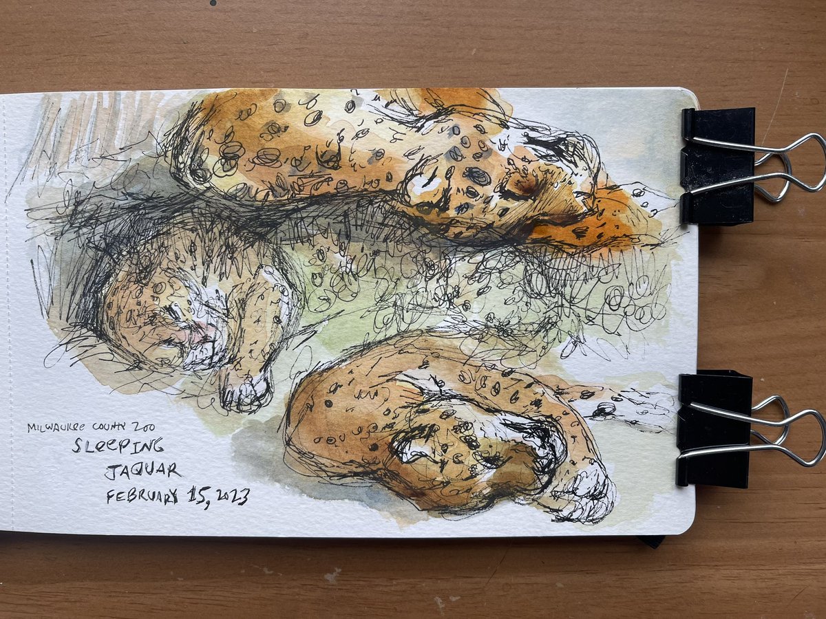 KGjerdset's tweet photo. Sample of quick #zoo #artjournaling pages from my sketchbook. Some are demos and some are created  once the  @InsideWLC students have settled in to their own work. Loving the milk frogs! Such cute creatures! #arteducation @MilwaukeeCoZoo #nature #frogs #jaguar #birds #fish https://t.co/yoiTH9Nt4r