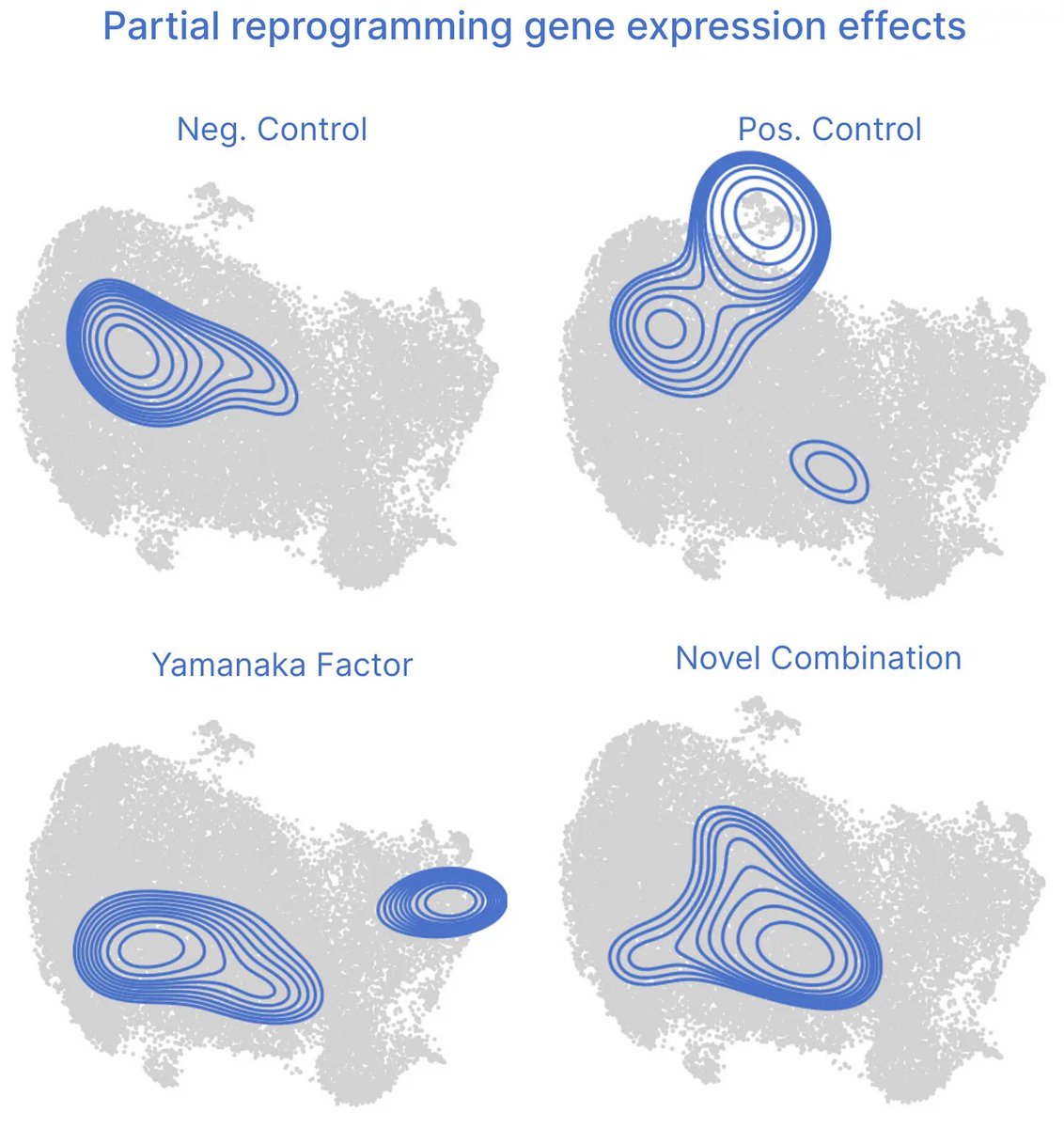 Jacob Kimmel tweet media