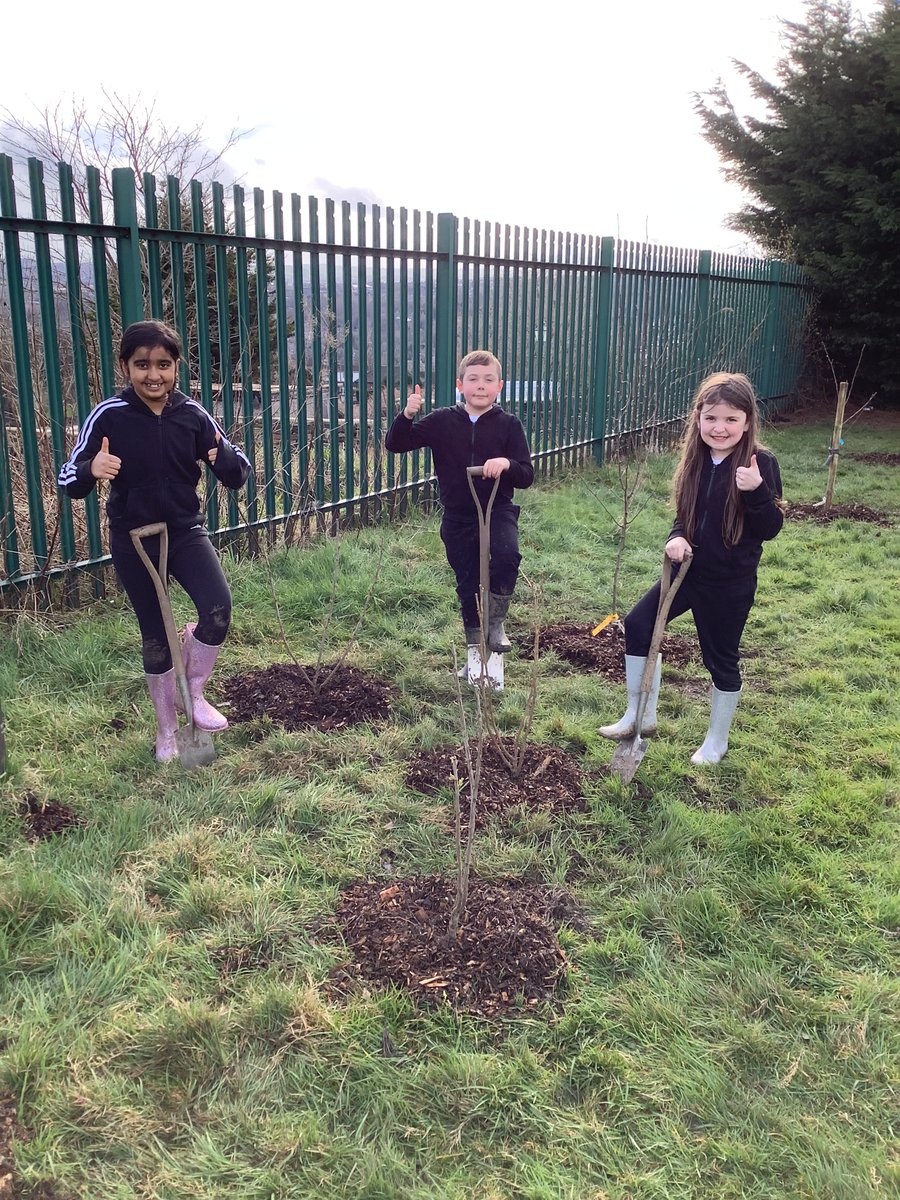 LowAshPrimary1's tweet photo. Thank you to Fruitworks who have been planting trees with our Year 4 children today. https://t.co/2kPsRamRXO
