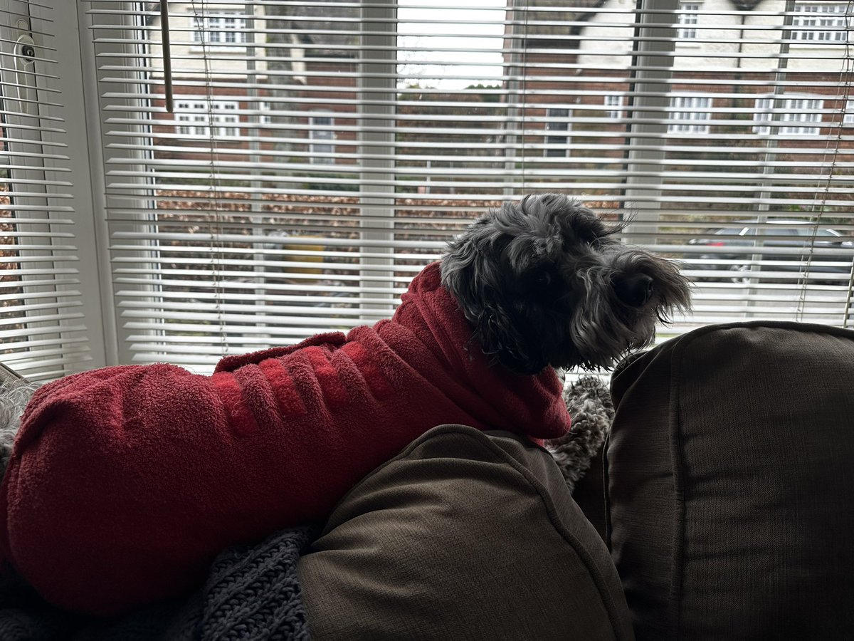 Kate Mackay tweet media