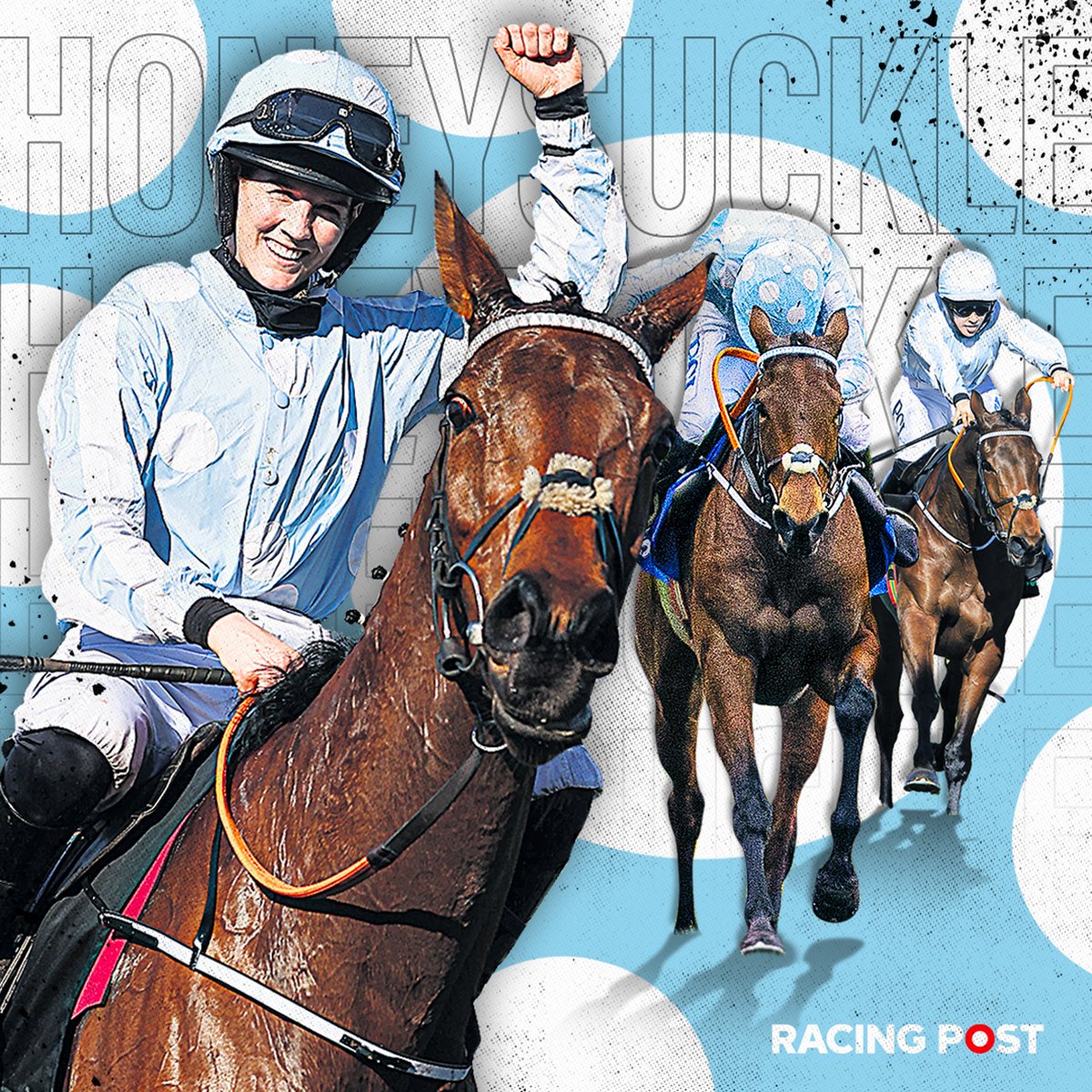RacingPost's tweet photo. HONEYSUCKLE WINS HER SECOND MARES’ HURDLE! 🎉

There’s not a dry eye in the house as Honeysuckle wins at the Cheltenham Festival for the fourth time 😍 https://t.co/EJQtwWegDD