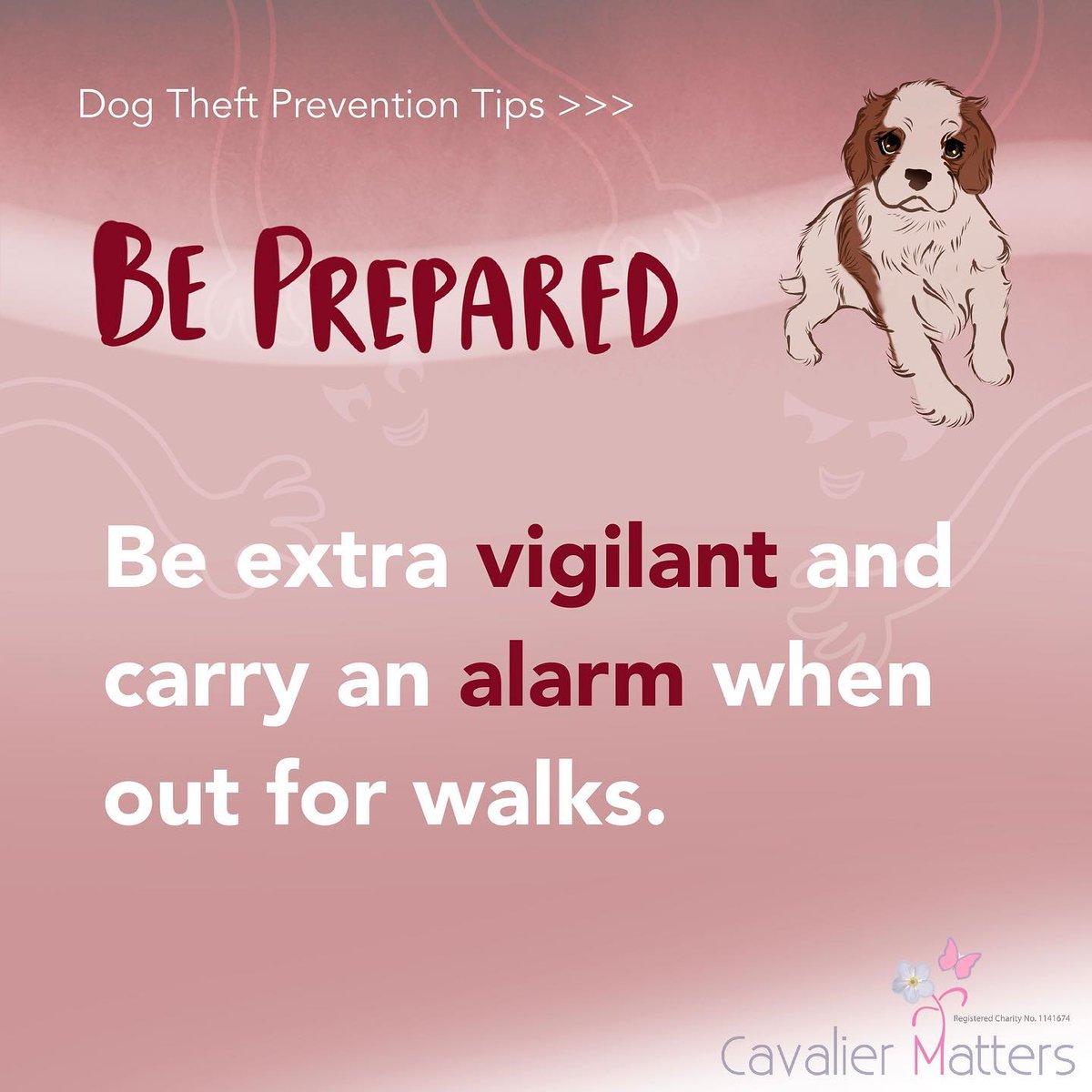 Today is Pet Theft Awareness Day 

**We don't want to frighten people just advise you to take sensible precautions to keep your dog safe. **

#DogTheft #PetTheft #CatTheft #PetTheftReform #PetAbduction #MakeChipsCount #FernsLaw #ScanMe #PetTheftAwarenessWeek #scanme