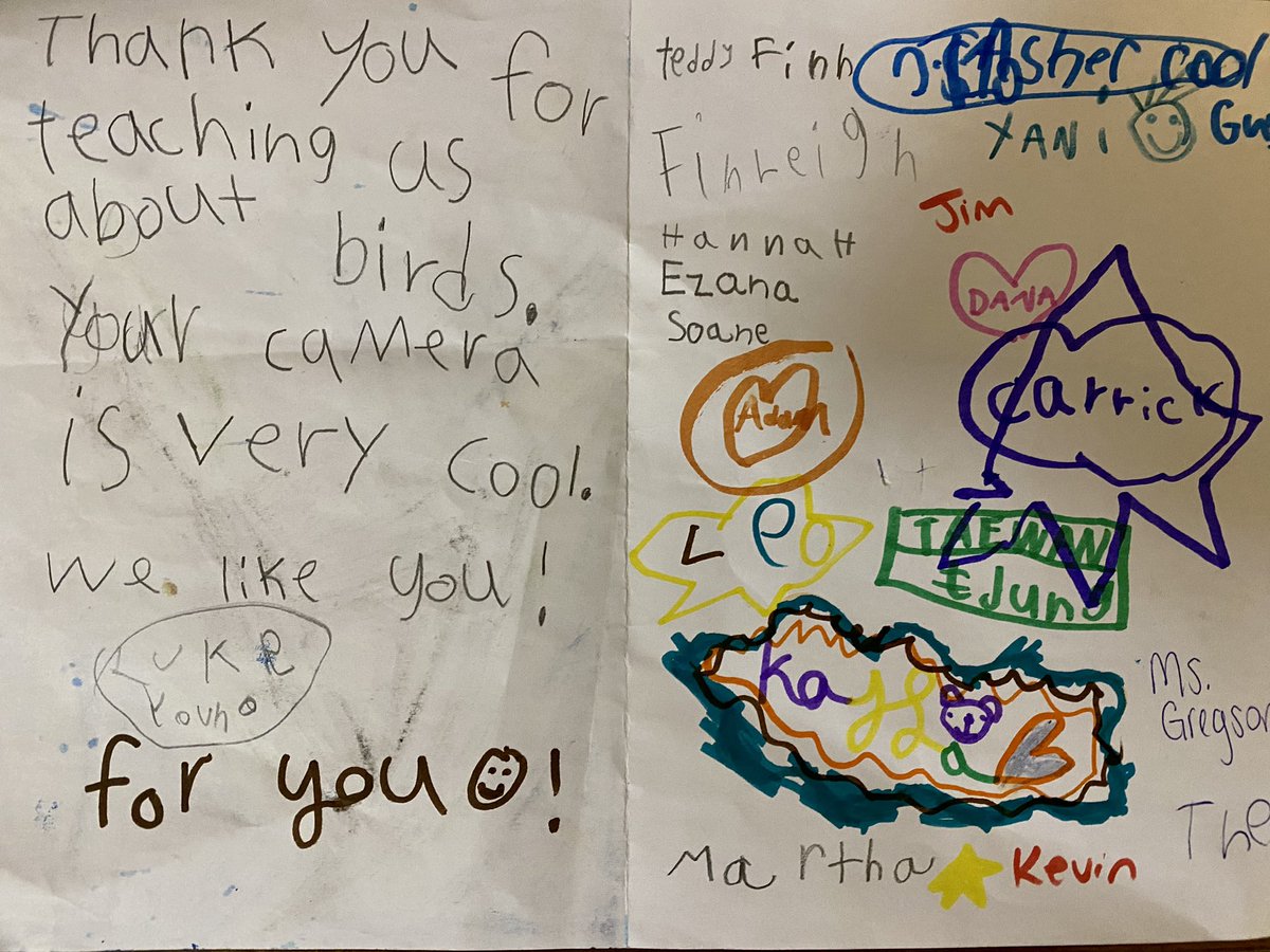 2wsphotography's tweet photo. I had a great fun this morning talking to the little people @ISK_Kigaliโs first grade about #wildlifephotography #conservation and the awesome birds of #Rwanda. I received this from them this afternoon - it has absolutely made my day! Thank you! ๐ https://t.co/LQpkTSqQr0