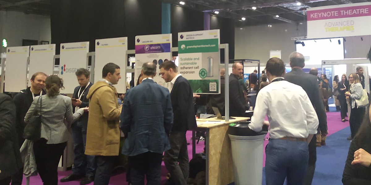 Specipig tweet media