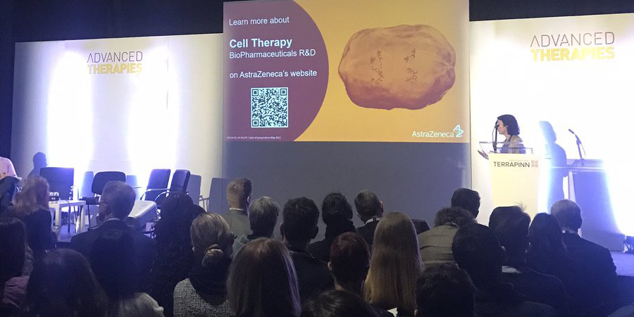 Specipig tweet media