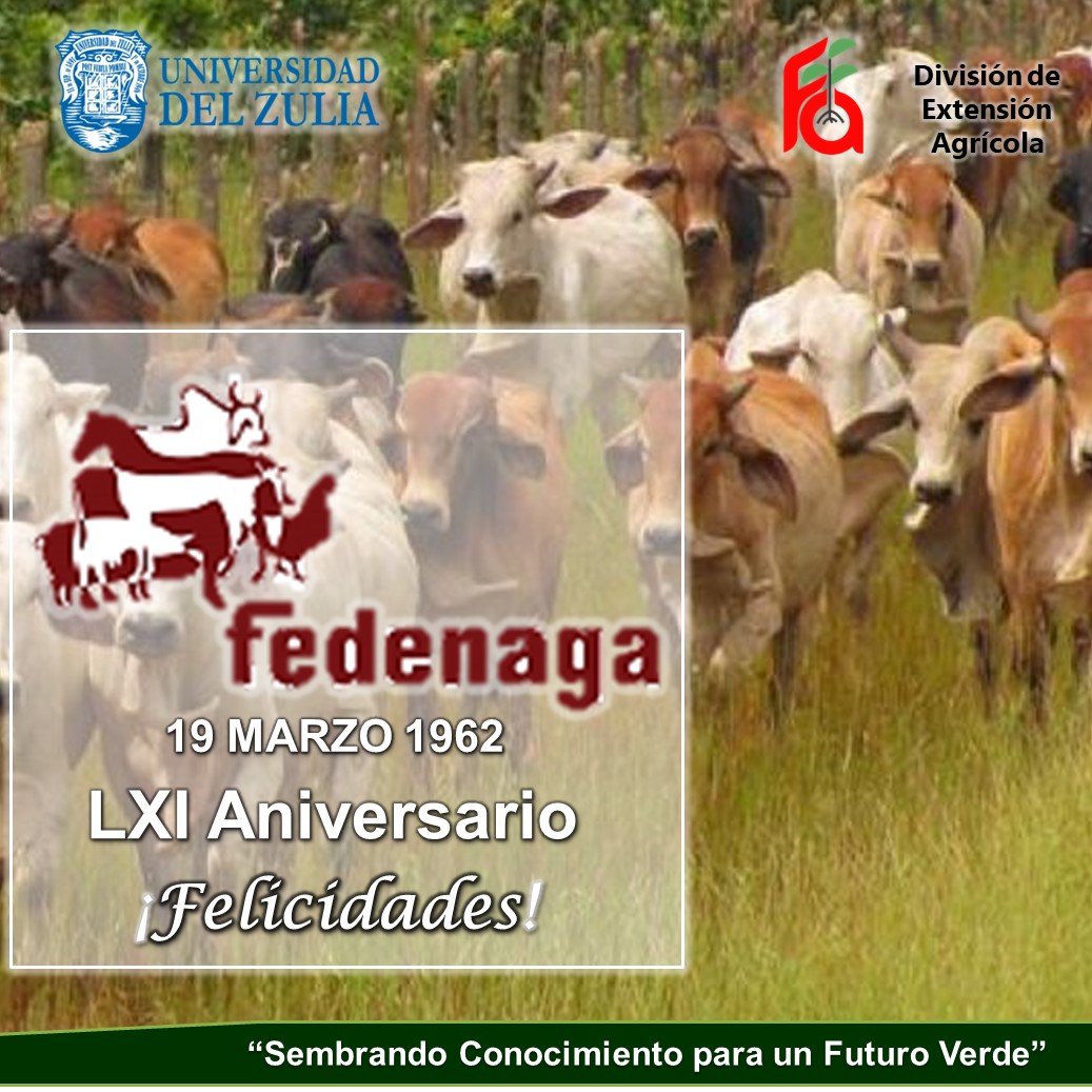 Desde la División de Extensión Agrícola de la Facultad de Agronomía de LUZ felicitamos a nuestros amigos de FEDENAGA por arribar hoy a sus 61 años de fundación. Les deseamos muchos éxitos y bendiciones 
¡Felicidades! <a href="/Fedenaga/">FEDENAGA</a>