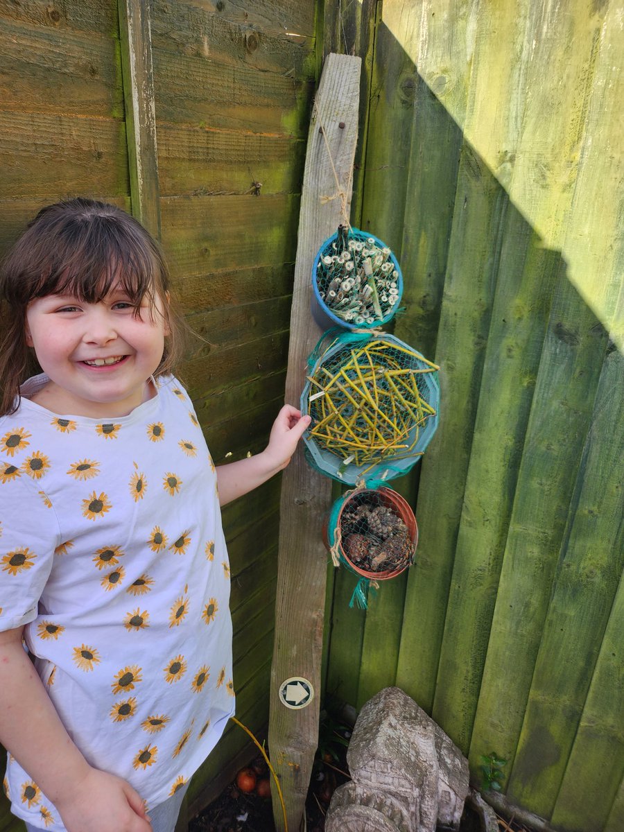 Lillianas bug house <a href="/AvonwoodYear2/">Avonwood Primary School Year 2 Team</a>