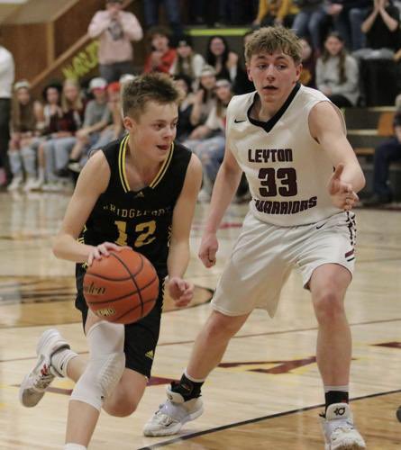 2022-2023 SPVA ALL CONFERENCE TEAMS