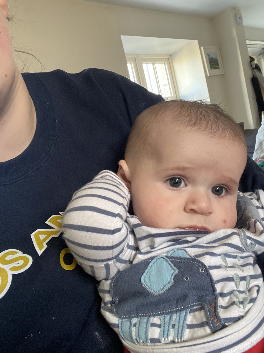 Littlest ready to watch the Mares Hurdle at #Cheltenham2023 
#honeysuckle