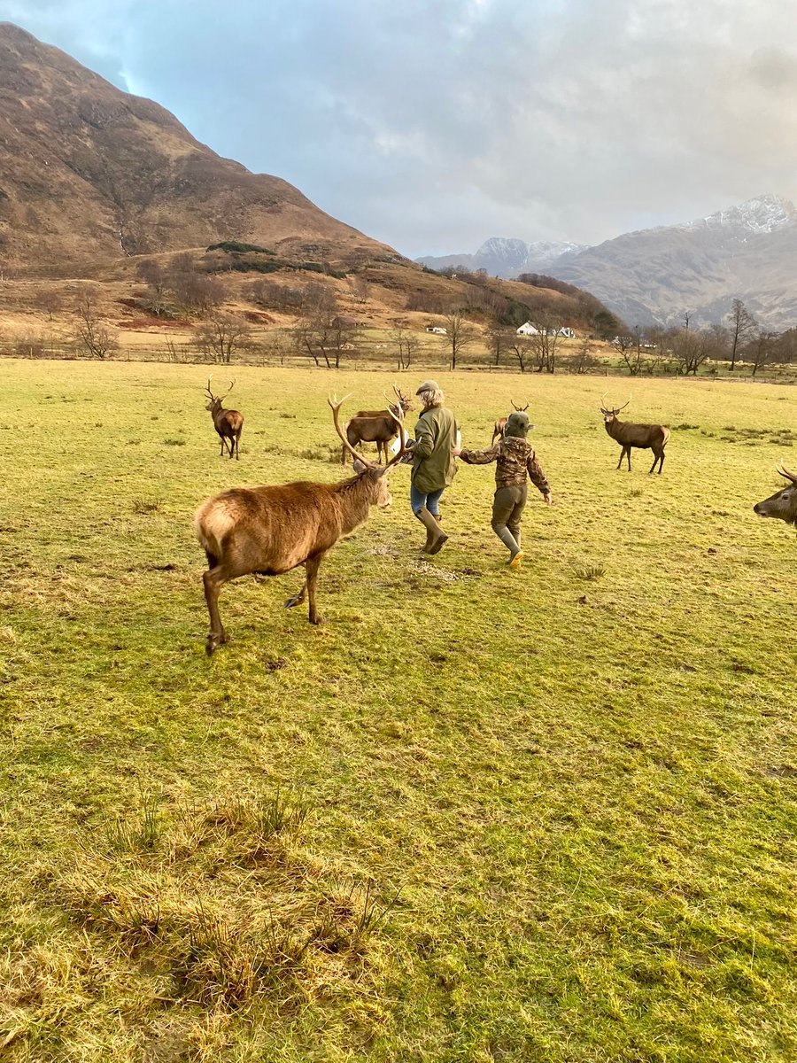struttsscotland's tweet photo. Our fabulous Susie Ballantyne has been out enjoying our fabulous spring weather on the west.  As the glorious outdoors gifts little hiccups, we know rain stops nothing: #cattle #deer #livestock need fed.  See how our #land management team can assist you:  https://t.co/4gqUJBxo1P https://t.co/KZIfzlkhb0