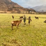 Photo by Strutt & Parker Scotland (@struttsscotland)