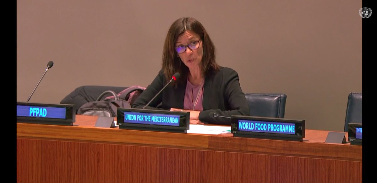 UfMSecretariat's tweet photo. #UfM gender expert Anna @Dorangricchia presented today at the @UN headquarters in #NewYork key #UfM commitments to strengthen the role of women in society, notably regarding access to digital skills and financing for women entrepreneurs. https://t.co/nRvackx2cE
