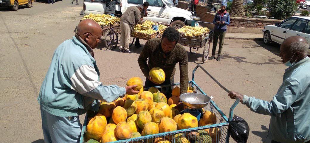 Filmona12's tweet photo. ዝደለኻዮ ዓይነት ፍሩታ ብርትዓዊ ዋጋ ኣብ ኣስመራ by #AhmedinMohamed #Asmera_Eritrea https://t.co/gggSiY5ZhS